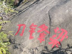 -南山植物园