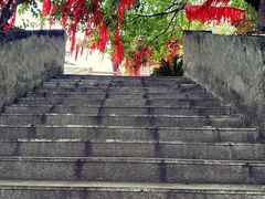 -法雨寺