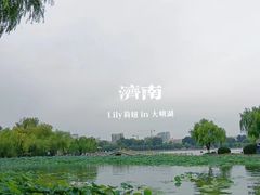 -济南大明湖景区