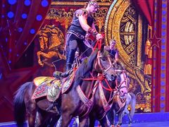 -珠海横琴长隆《卡卡虎奇遇记》