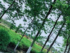 -夏河溪乡野公园