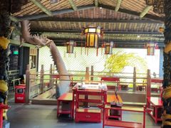 -小龙翻大江文化火锅(宽窄店)