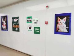 -十年猫舍·猫咪专门店(普陀店)