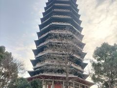 -红梅公园