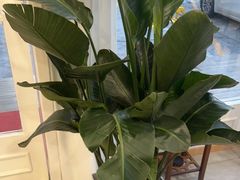 -手舒·采耳按摩·影院足道spa(莫愁湖东路店)