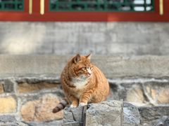 -颐和园