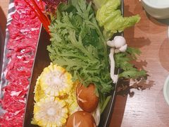 -掂档潮汕牛肉火锅(沈阳万象城店)