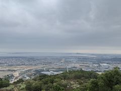 -大姆山草场