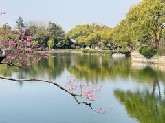 -无锡蠡湖国家湿地公园-蠡园