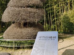 -苏州河梦清园环保主题公园