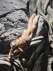 -Zoolung Zoolung动物主题公园(海信广场店)