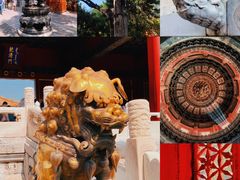 -故宫博物院(故宫)
