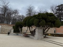 -丽池公园