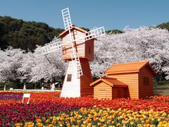 -苏州上方山国家森林公园