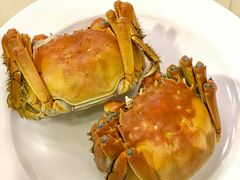 -王宝和酒家(黄浦店)