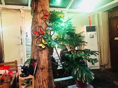 -丽江庭院之丽江往事(安定门店)