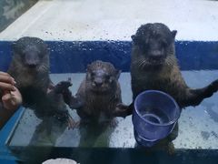 -华夏文旅西安度假区