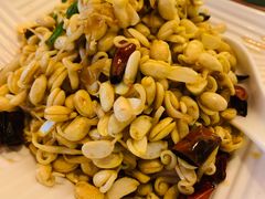 炝炒黄豆芽-燕青小馆(东园大厦店)