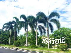 -花柏山公园