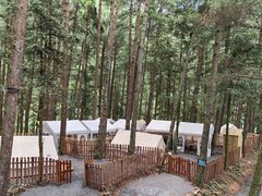 -重庆睡佛山森林公园