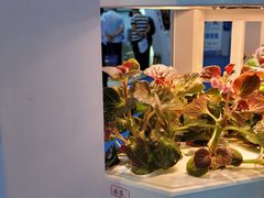 -潘苏凉茶馆(康之宝超级广场店)