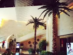 环球恐龙城维景国际大酒店-常州环球恐龙城维景国际大酒店