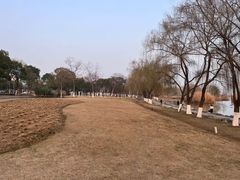 -合肥滨湖国家森林公园