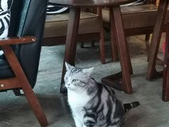 -咖法森林·咖啡  酒吧(天河店)