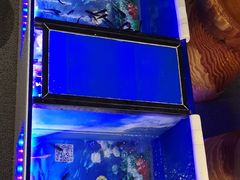 -思念果岭悦温泉