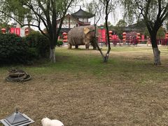 -溱湖国家湿地公园