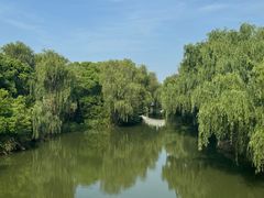 -同里国家湿地公园