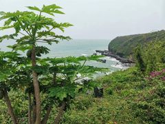-涠洲岛火山国家地质公园