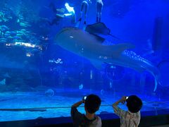 -烟台海昌鲸鲨海洋公园