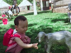 -九十九顶毡房(阜石路店)