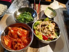 -三国惹火烤肉·中日韩烤肉集合店(百草路店)