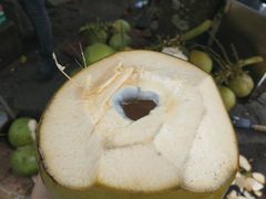 -农厨好味·温泉鹅·农家菜