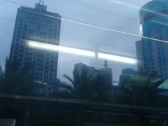-万绿园