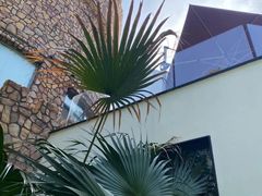 -J Create城市露营咖啡·简餐·宠物(上海动物园店)