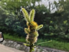 -钟记陕南菜·煎锅鱼(红专南路店)