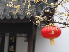 -上海醉白池公园