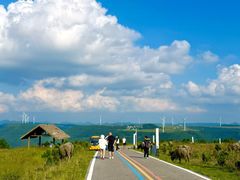 -龙里油画大草原旅游区