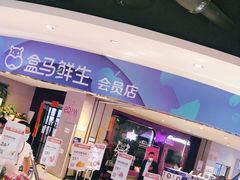 -盒马鲜生(大成店)