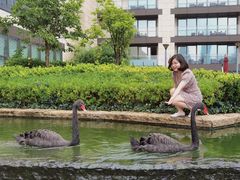 -行者书屋大堂吧 ·下午茶(南京圣和府邸酒店)