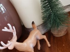 -侘寂甜品(自取店)