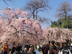 -西安青龙寺遗址景区