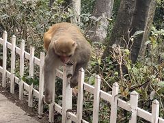 -黔灵山公园
