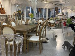大堂-共舞时光猫咖·狗咖(新街口店)