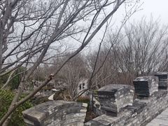 -朴园