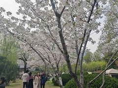 -堤角公园