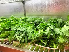 涮菜自选-洪湘记川湘·甲鱼馆(四海凯悦美食广场店)